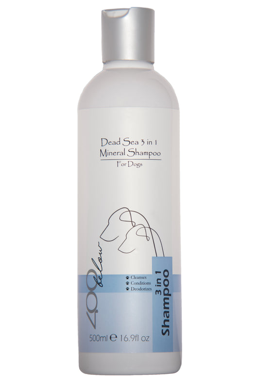 Dead Sea 3 in 1 Mineral Shampoo